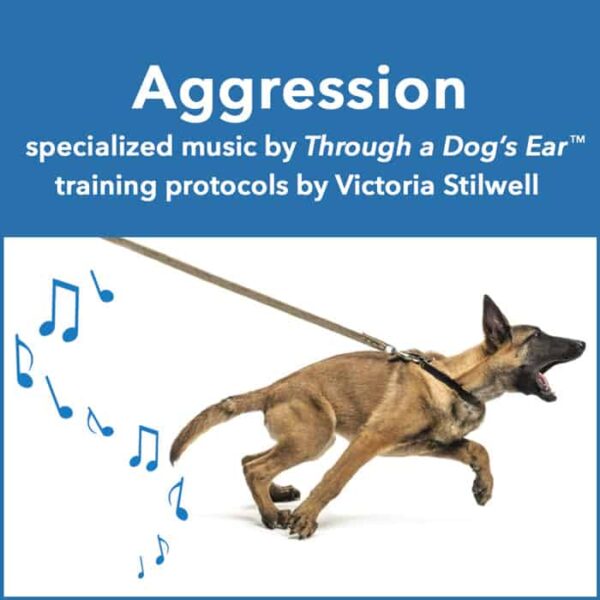 treat canine aggression with training and music