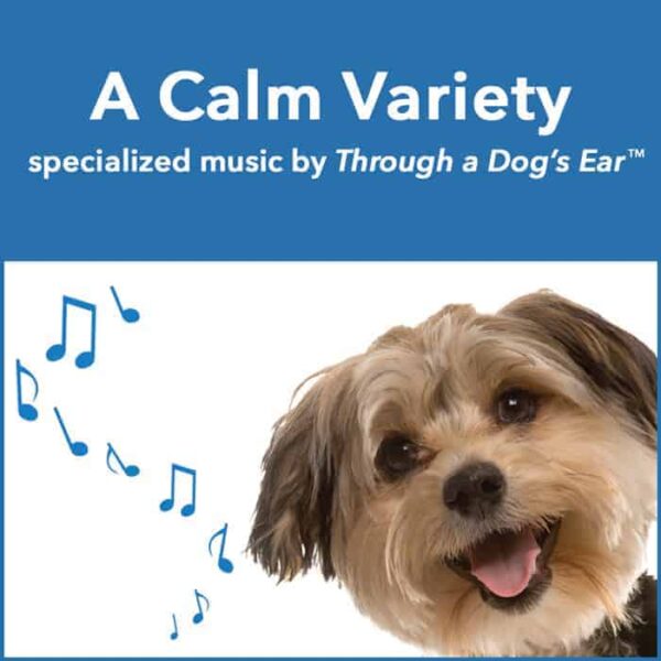 a variety of calming music for dogs and people