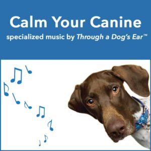 Dog calming music by Through a Dog's Ear