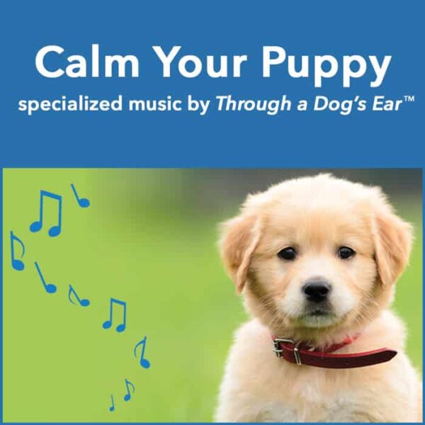 music to calm your puppy