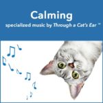 Calming music for Cats