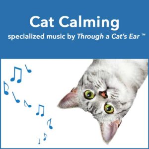 calming cat music by through a cat's ear