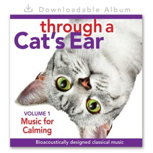 Cat Calming Music Vol 1