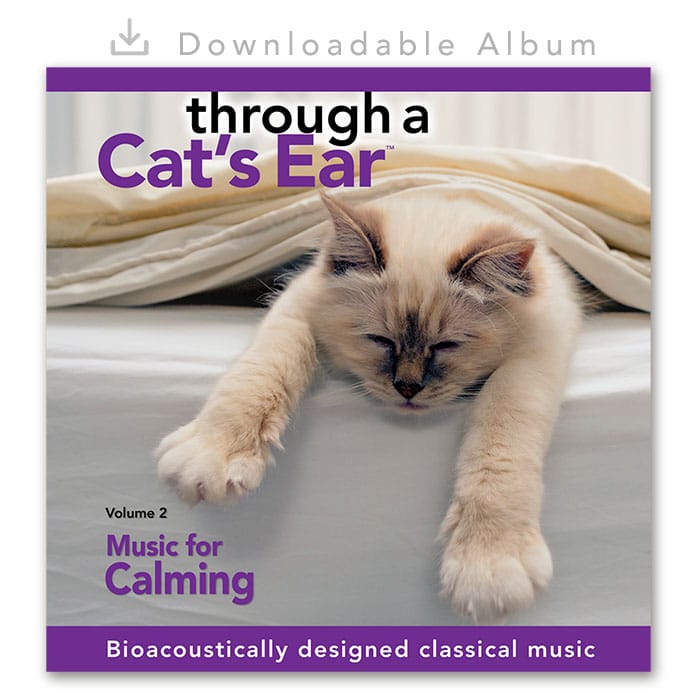 Cat Calming Music Vol 2