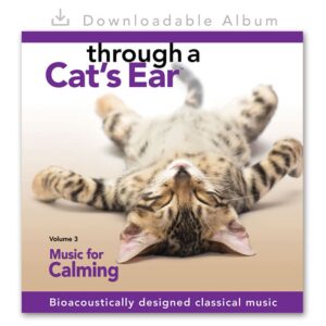 Cat Calming Music Vol 3