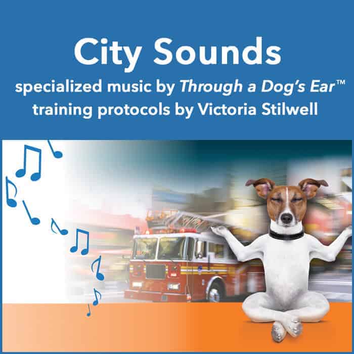 entrainment to city noises for dogs