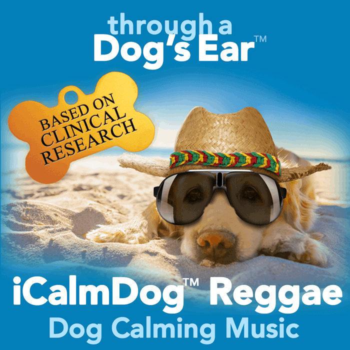 calm dog illustration pets soothing separation anxiety calming streaming music