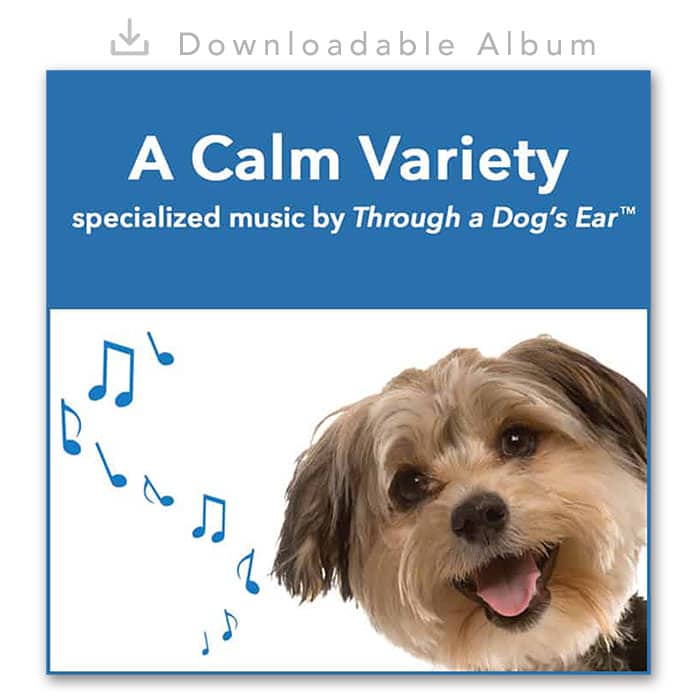 Dog Calming Music - A Calm Variety