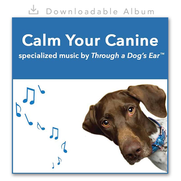 Dog Calming Music - Calm Your Canine