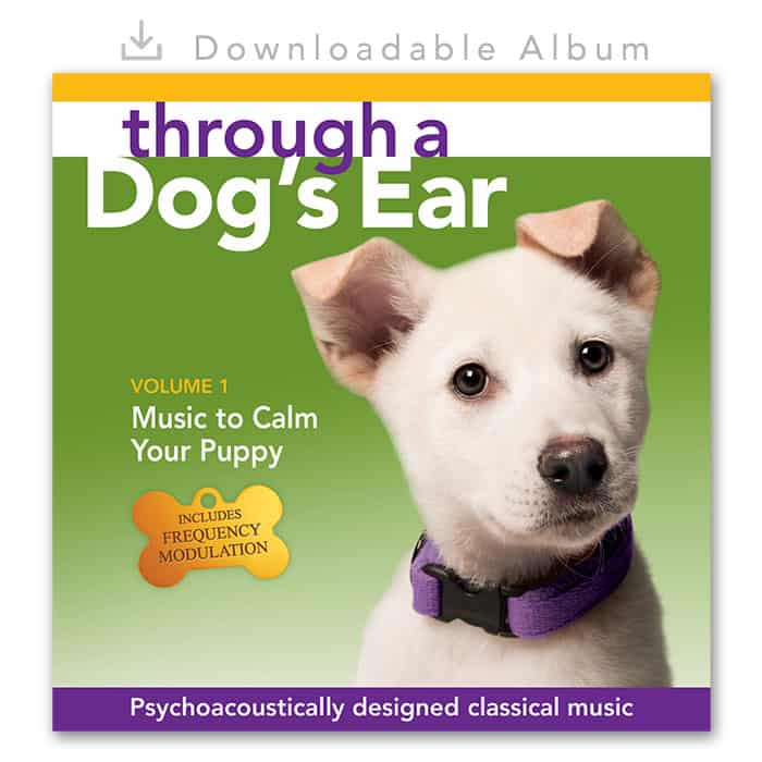 Dog Calming Music - Calm Your Puppy Vol 1