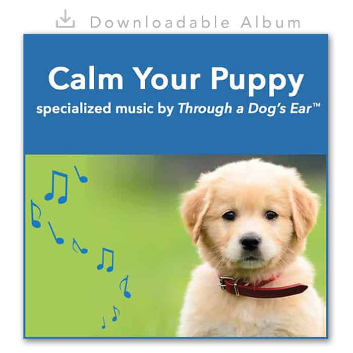 Dog Calming Music - Calm Your Puppy
