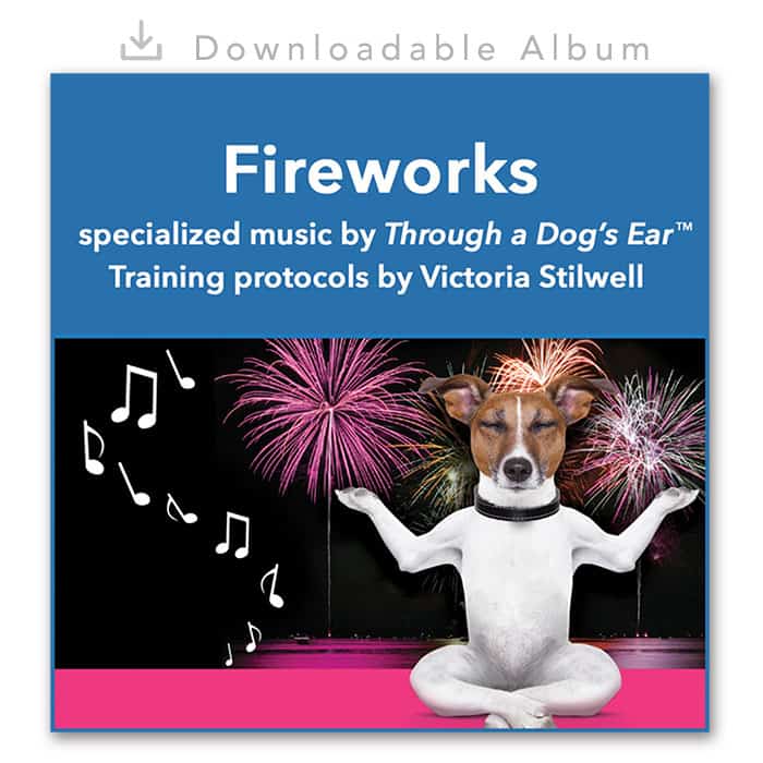 through a dogs ear volume 4 CD