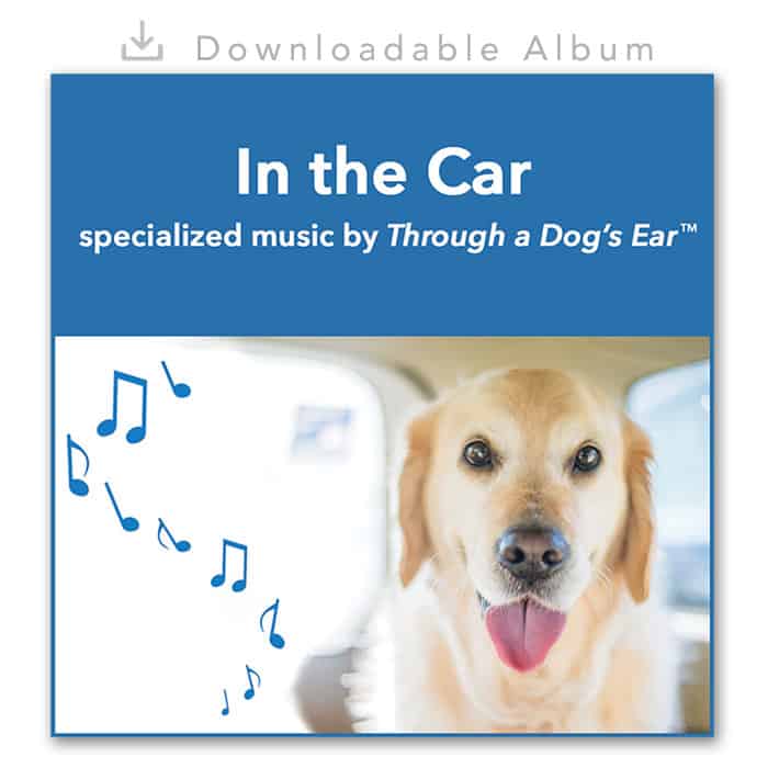 Dog Calming Music - In the Car