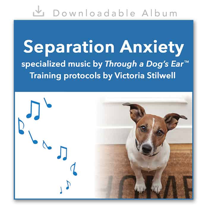 Dog Calming Music - Separation Anxiety