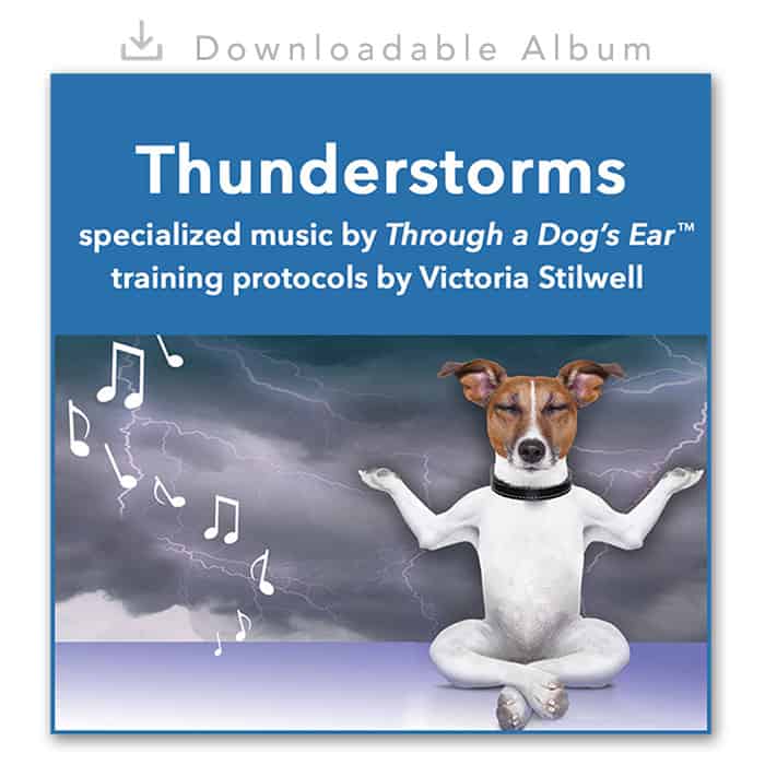 Dog Calming Music - Human-Animal Bond