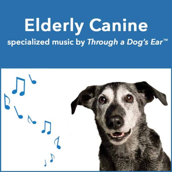 Calming music for older dogs