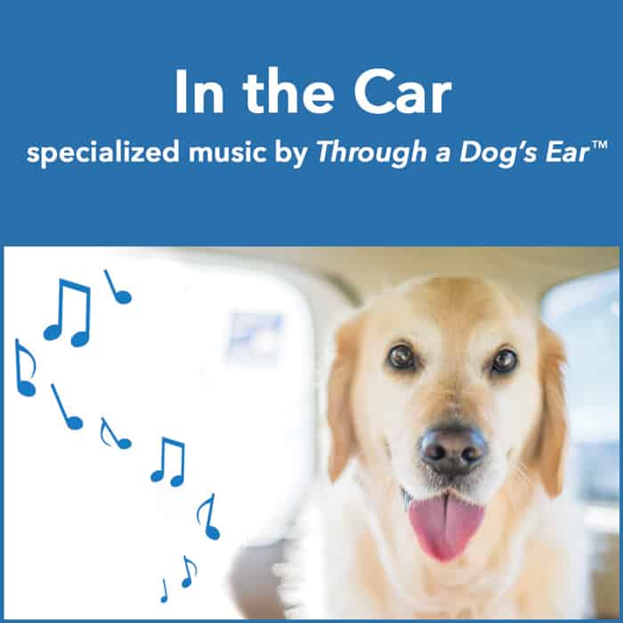music to calm dogs in the car