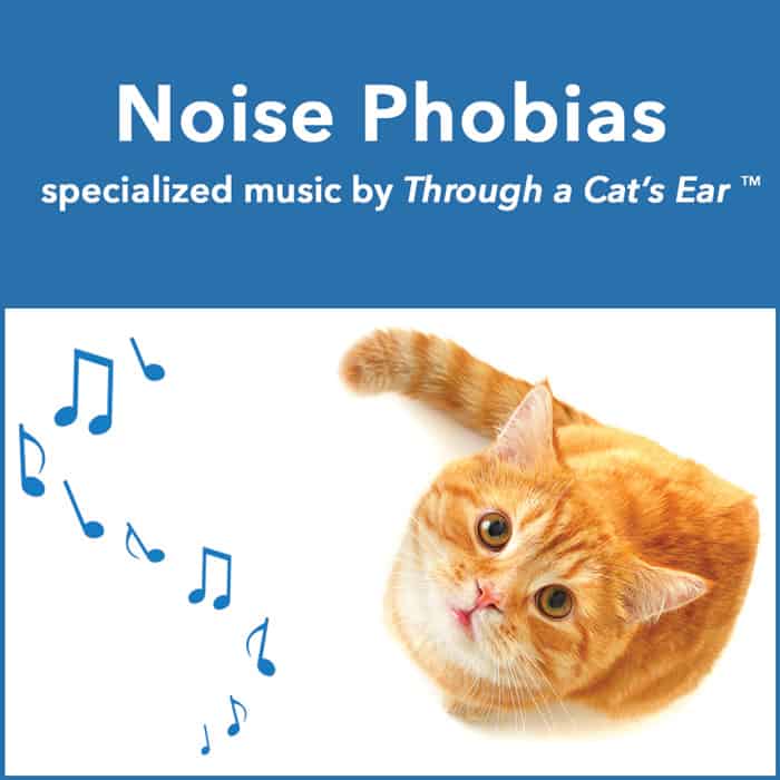 music to treat feline noise phobias