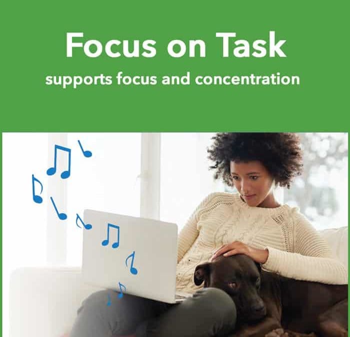 Focus on Task (1-hr)