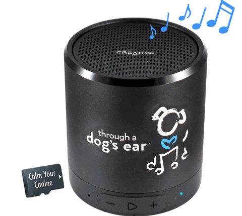 calming dog music speaker