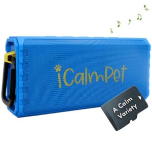 A Calm Variety (3-hrs)