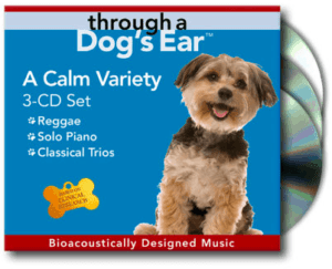 through a dogs ear icalmdog music for dogs separation anxiety relief