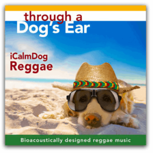 icalmdog reggae music for dogs calming separation anxiety
