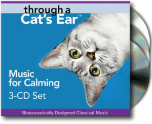 cat calming separation anxiety soothing relaxing pet music