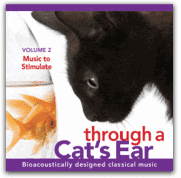 cat calming stimulation music felines download cd