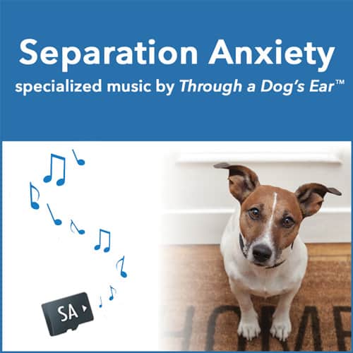 Separation Anxiety (16-hrs) iCalmPet