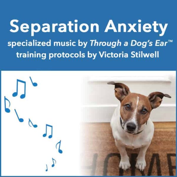 help relieve separation anxiety in dogs with calming music