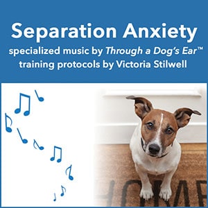dog calming music by Through a Dog's Ear