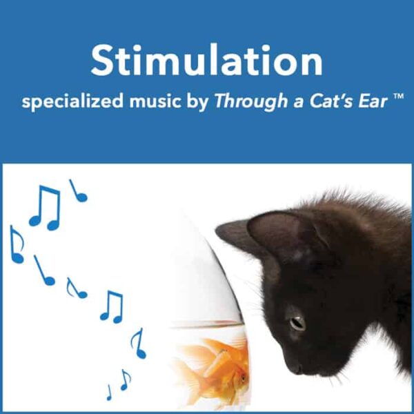 music to stimulate cats