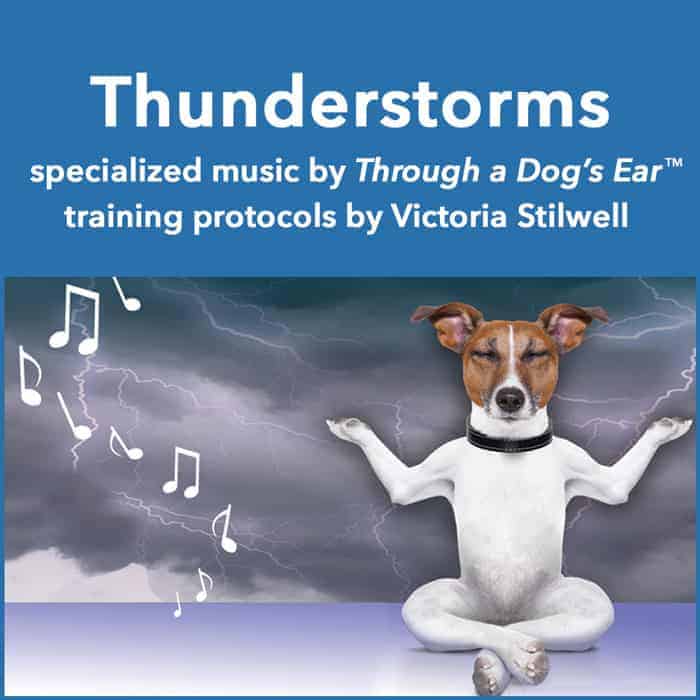 music to ease thunderstorm anxiety in dogs