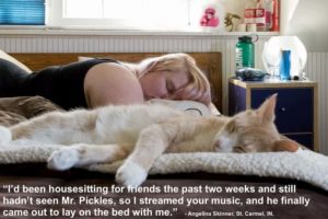 stream free calming cat music download