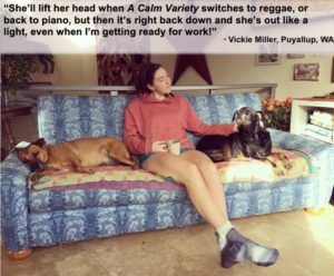 testimonial that our dog calming music really works