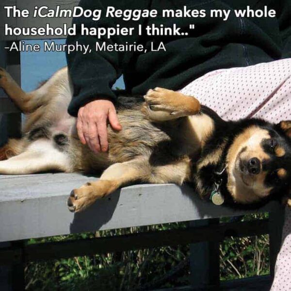 reggae for dogs is soothing to the entire household