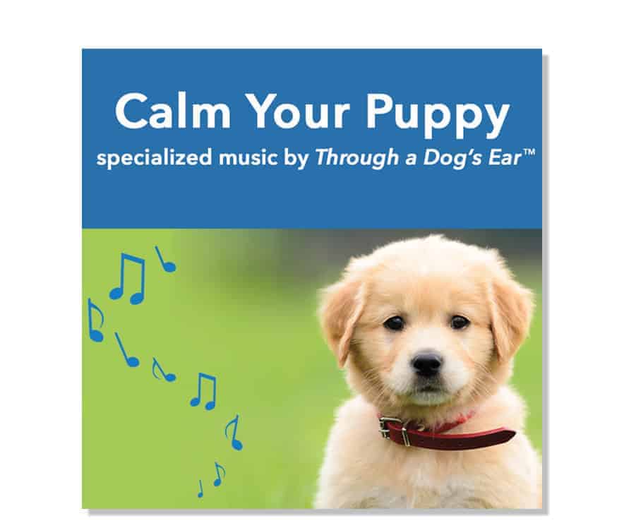 calming puppy music download