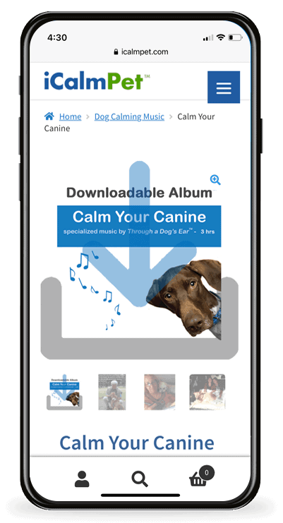 calming dog music downloads streaming