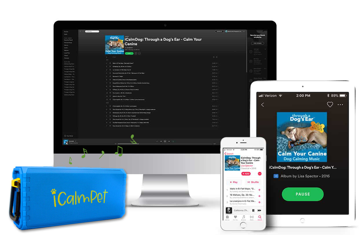 calming dog music played on desktop free