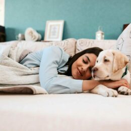 All We Need is Love, Connection, and a Calm Dog 