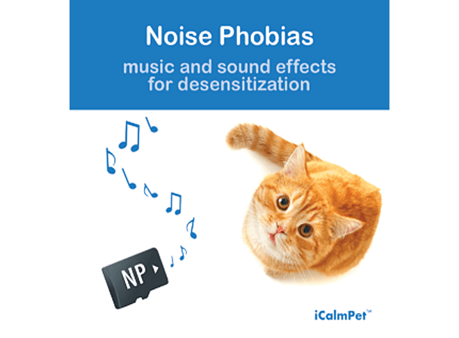 cat music noise phobias through a cats ear