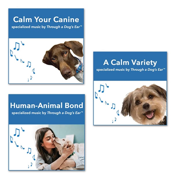 Calm Your Canine, iCalmDog Reggae, and Human Animal Bond Bundle